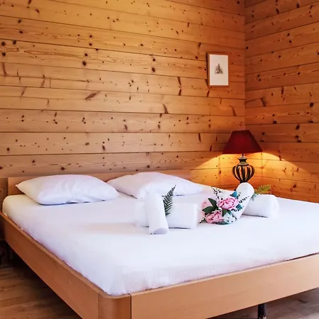 Grands Ducs 101g By Interhome Apartman Nendaz