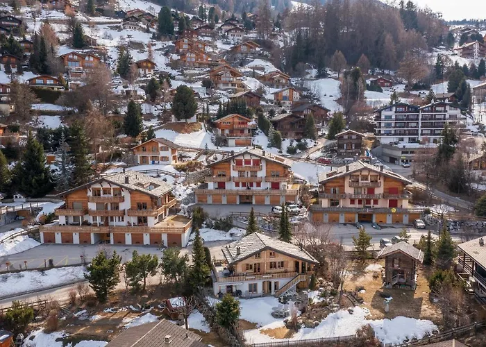 Grands Ducs 101g By Interhome * Nendaz