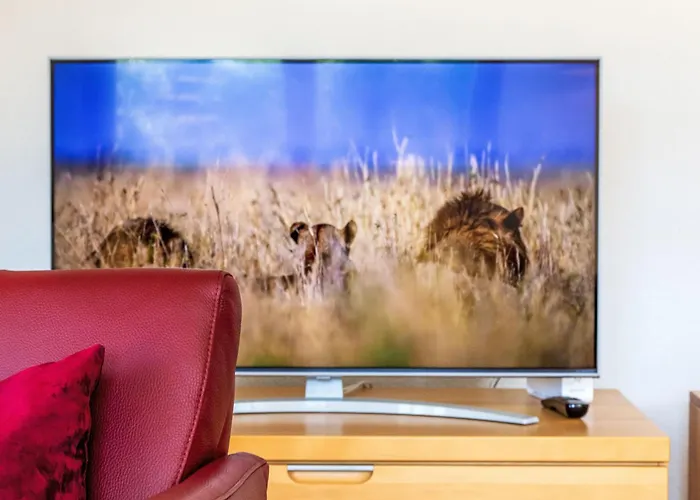 Grands Ducs 101g By Interhome