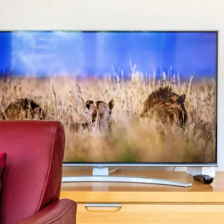 Grands Ducs 101g By Interhome